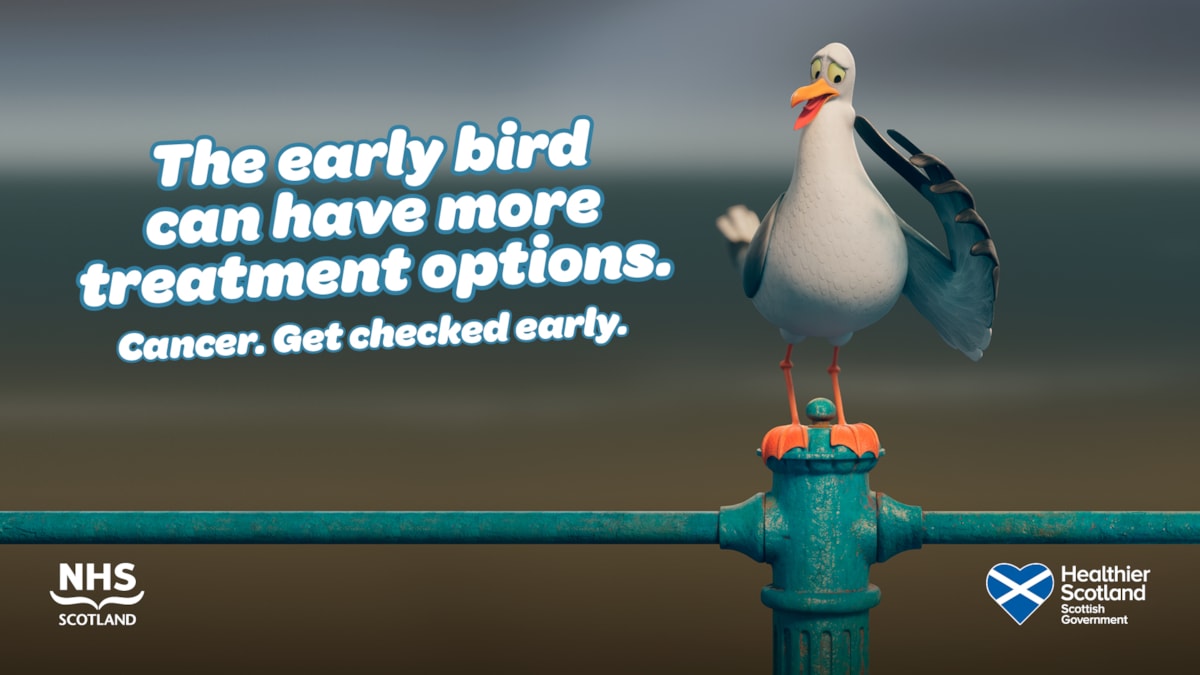 Seagull Static Social 1920x1080