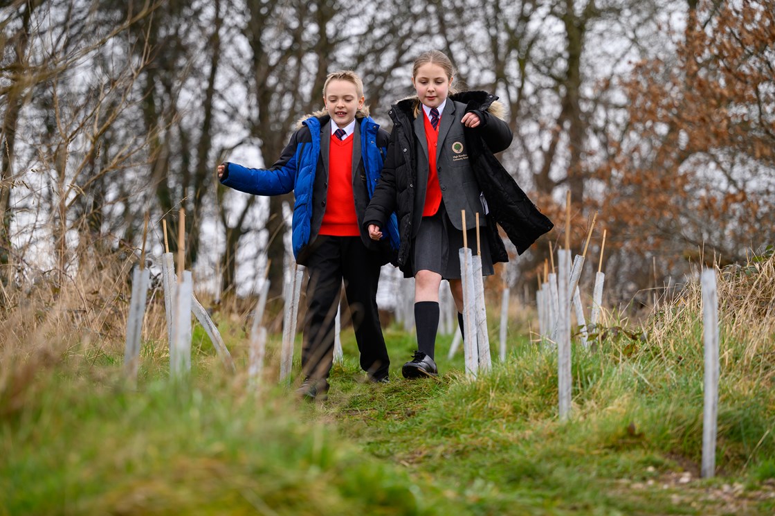 Pupils from High Meadow Community School walking through newly planted oak saplings, March 2022