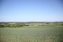 Moray Farm Cluster Nature Restoration Project credit Moray Farm Cluster