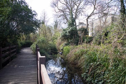 A scenic image of the New River Walk, taken on a sunny day