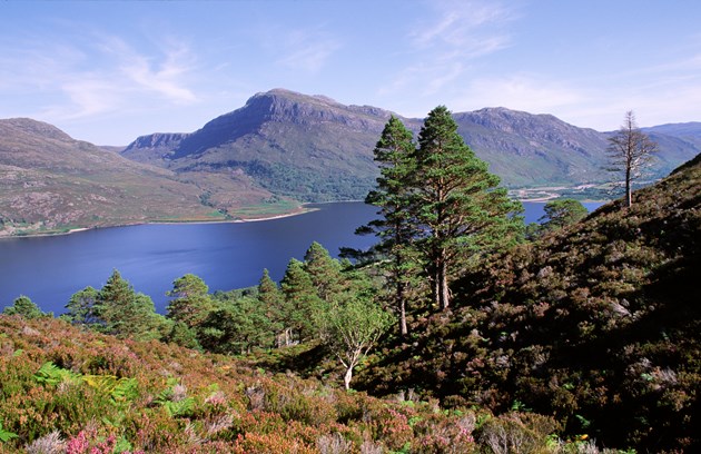 Report finds SNH nature reserves generate £28m in benefits: Beinn Eighe NNR - credit SNH-Lorne Gill