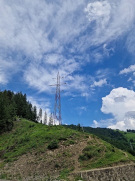 Ecological corridor management power line