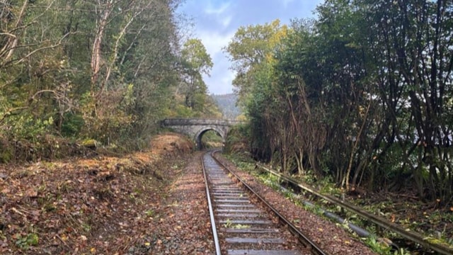 Conwy Valley line deveg Oct2025 - 1: Conwy Valley line deveg Oct2025 - 1