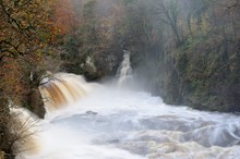 Bonnington Linn on the River Clyde, Clyde Valley Woodlands National Nature Reserve. Strathclyde and Ayrshire ©Lorne Gill-NatureScot