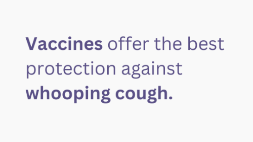 Whooping Cough Assets