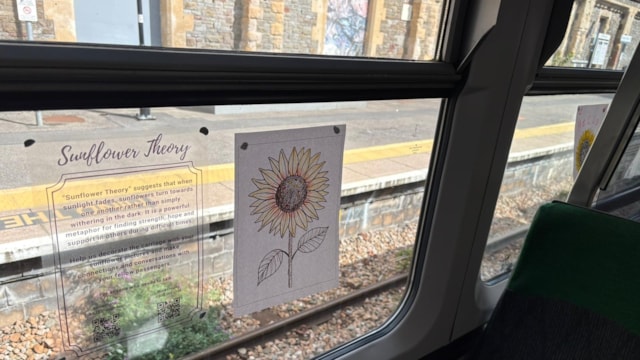 A window decal explaining Sunflower Theory: A window decal explaining Sunflower Theory