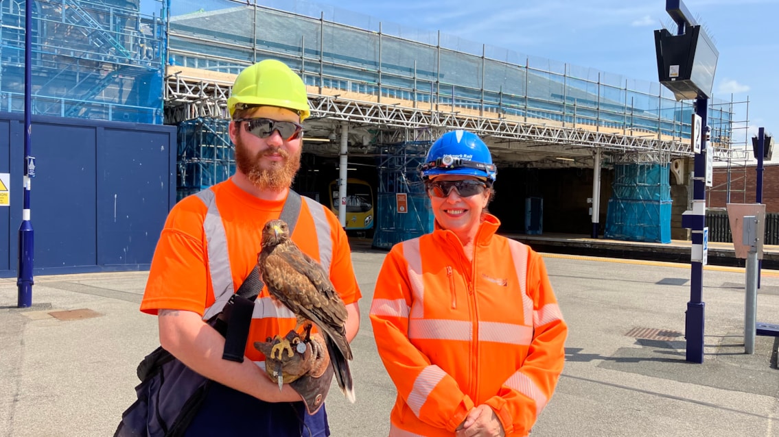 Network Rail enlists hawks to prevent a halt in station’s £14m overhaul: Aiden and Ann with Maverick
