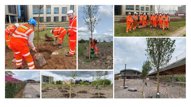 Growing the environmental legacy for Cambridge South station: Cambridge South tree planting montage