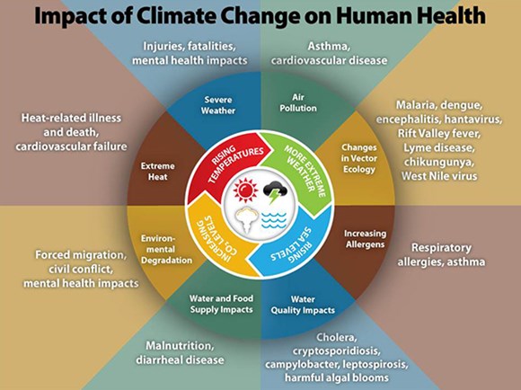 Brighton student nurses leading global push for more sustainable healthcare: Climate change health impacts graphic - courtesy US National Center for Environmental Health