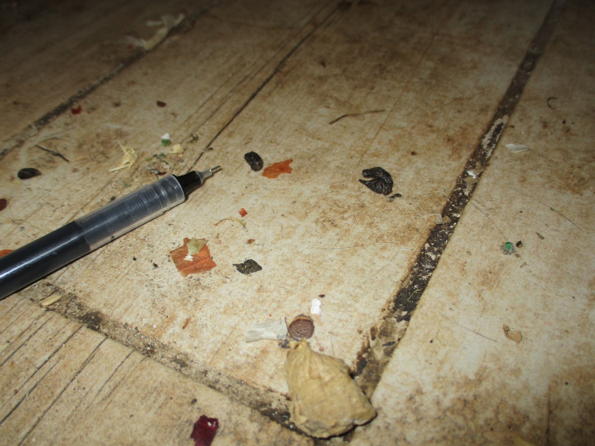 Your Local Butchers 2