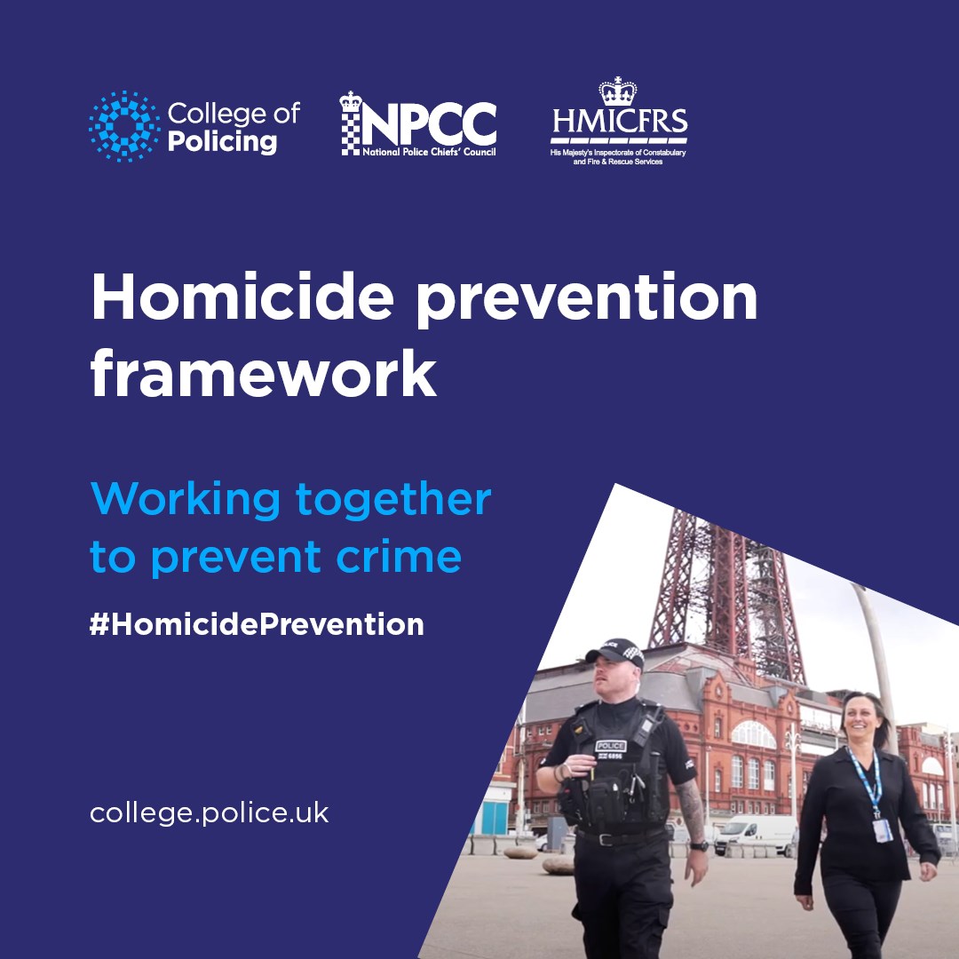 Homicide-prevention-framework-1080-1080 (1)