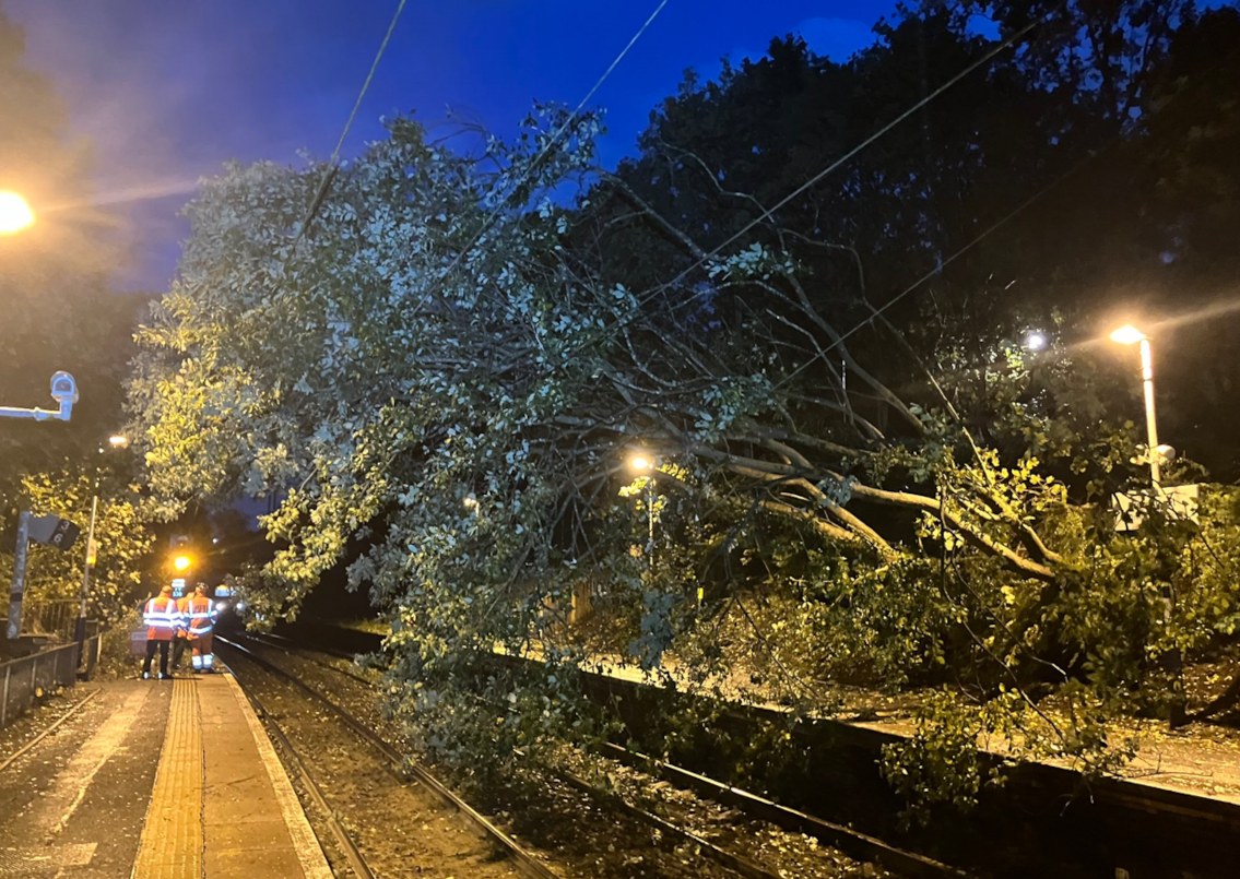Tree down at Drumpchapel 1