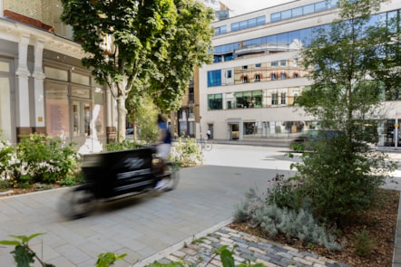 Clerkenwell Green improvements, new planting and greening