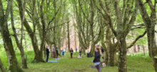 Dunnet Community Garden yoga