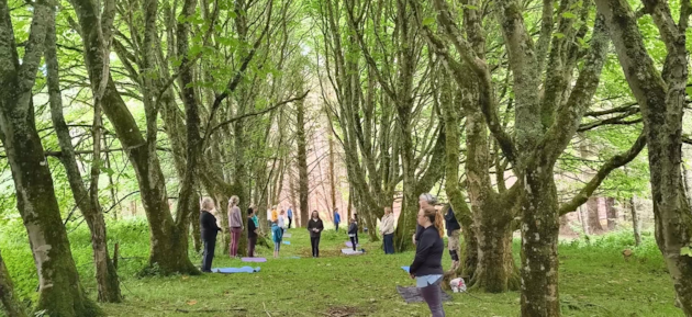 Dunnet Community Garden yoga