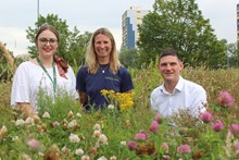 SNH Chief Executive Francesca Osowska visited the Edinburgh Shoreline project with Charlotte Johnson, Shoreline Project Manager at The Royal Botanic Garden Edinburgh, and Ian Mackenzie, Living Landscape Programme Manager at the Scottish Wildlife Trust