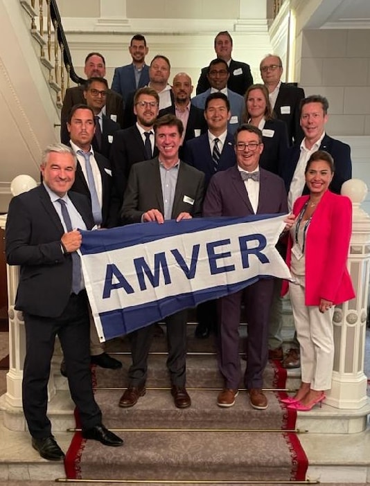 Image AMVER2 c
