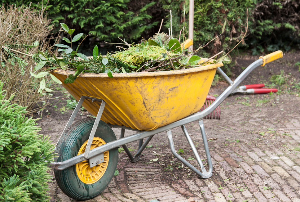 Garden waste pic