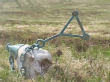 Cairnsmore of Fleet NNR - Sculpture ©NatureScot: One of five Matt Baker sculptures at Cairnsmore of Fleet NNR.  ©NatureScot