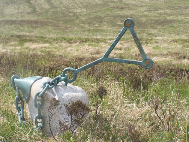 Cairnsmore of Fleet NNR - Sculpture ©NatureScot: One of five Matt Baker sculptures at Cairnsmore of Fleet NNR.  ©NatureScot