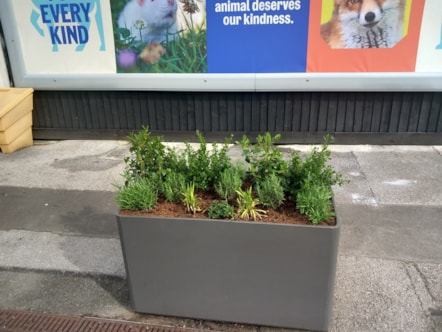 New planters installed at TPE stations  (3)