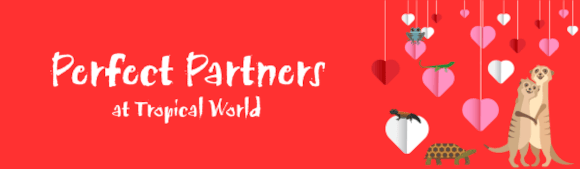 Perfect Partners at Tropical World-2