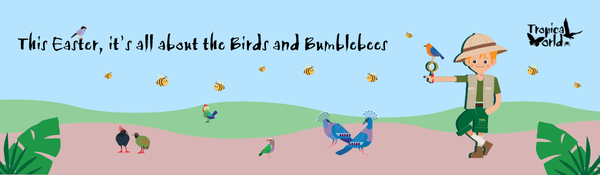 Birds and Bumblebees at Tropical World: Birds and Bumblebees at Tropical World