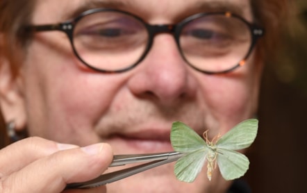 Dr Vladimir Blagoderov, Principal Curator of Invertebrates at National Museums Scotland examines a moth which will be digitised as part of the DiSSCo UK project. Image copyright Neil Hanna (2)