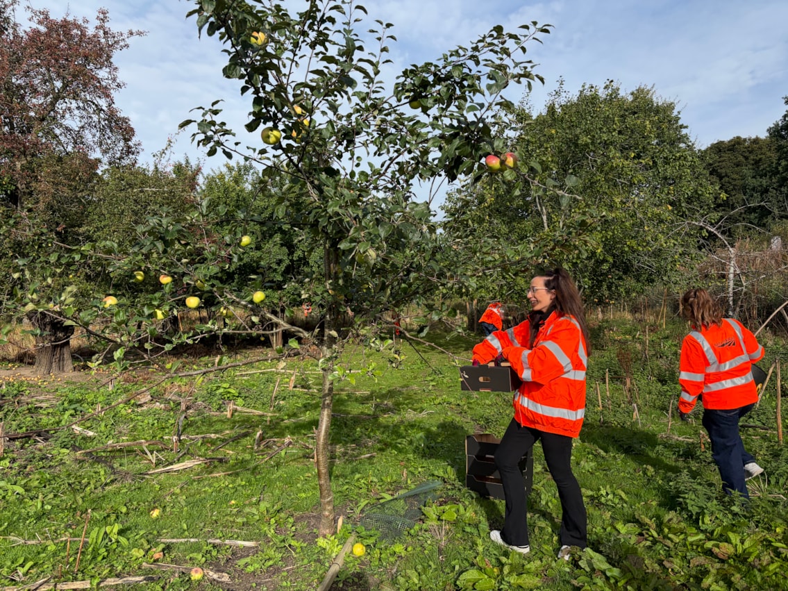 Volunteers at Barnhill Orchard 18.09.25