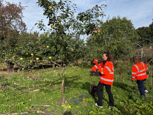Volunteers at Barnhill Orchard 18.09.25: Volunteers at Barnhill Orchard 18.09.25