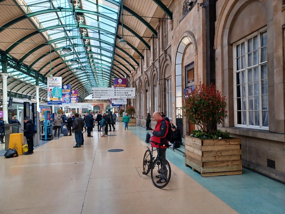 Trees have been planted at Hull Paragon  (6)