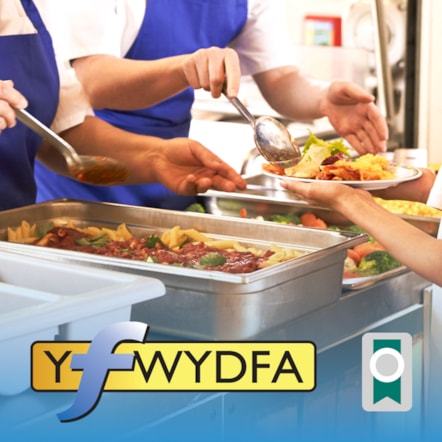 YFwydfa