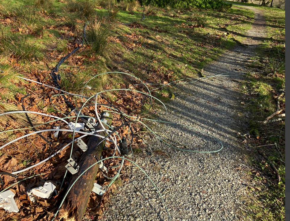 Ambleside pole down