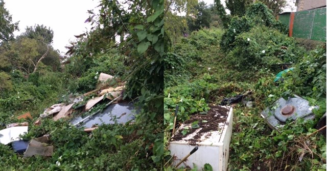 Network Rail to clean up railway in Richmond Hill