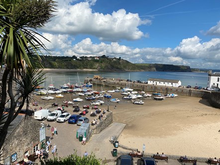 Tenby 8