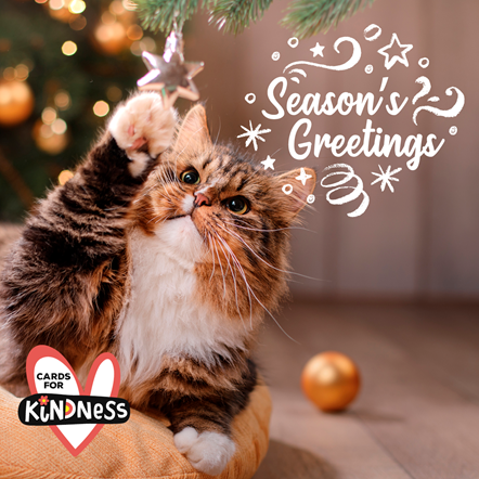 Cards for Kindness cat with bauble