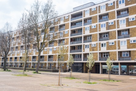 estate4