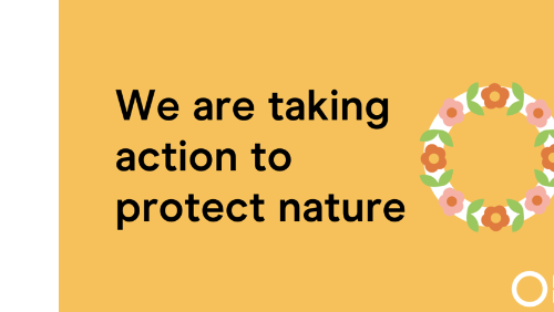 Nature Month Resources