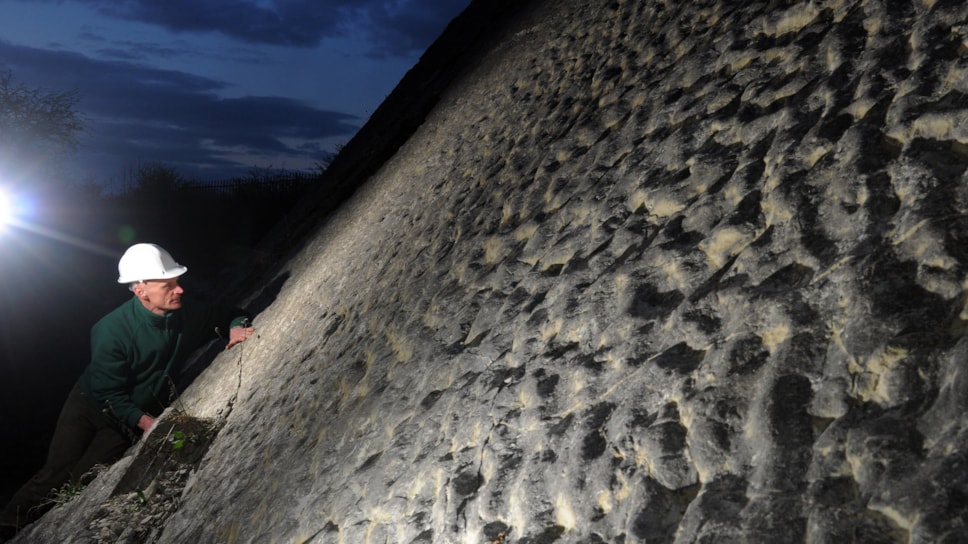 Ripple beds at Wren's Nest Nature Reserve (Please credit Phil Riley)
