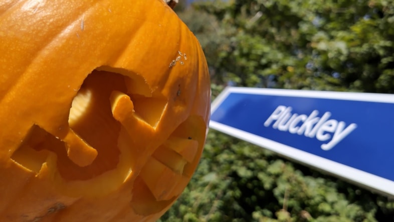 Southeastern Ghost Train departs for TRAINsylvania this Halloween: SE pumpkin at Pluckley