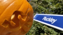 SE pumpkin at Pluckley: SE pumpkin at Pluckley