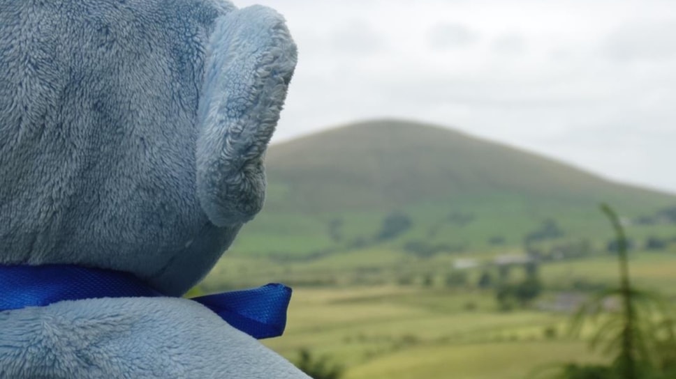 One of our rescued soft toys admiring the view at Beacon Fell