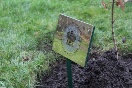 King Charles III coronation tree plaque