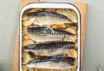 New Quay mackerel (72dpi)