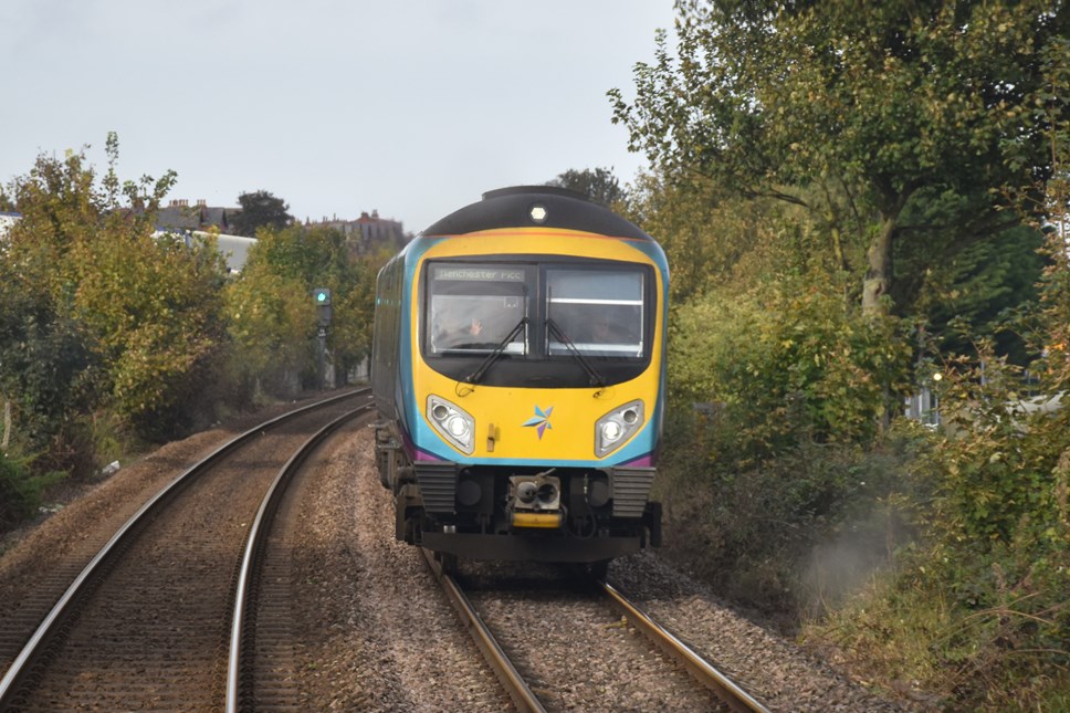 TPE Class 185 - Autumn leaves on the line