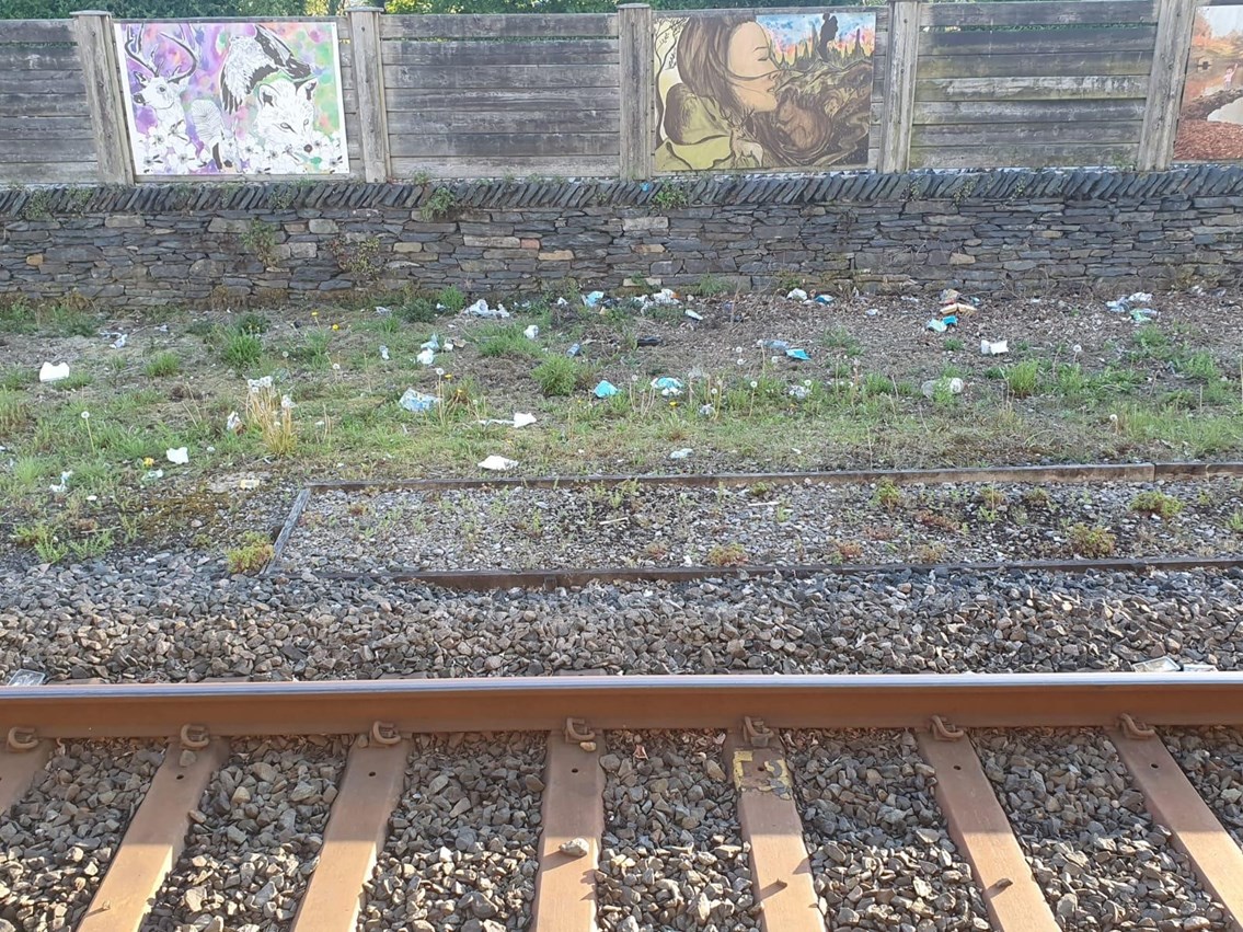 Litter gathered beside the tracks at Windermere station