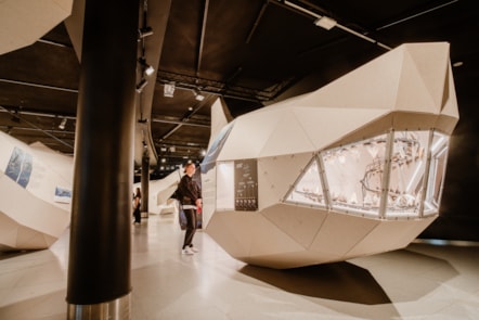 Life-sized 3D model of a megalodon, featured in GIANTS. Photo (c) Fisheye (3)