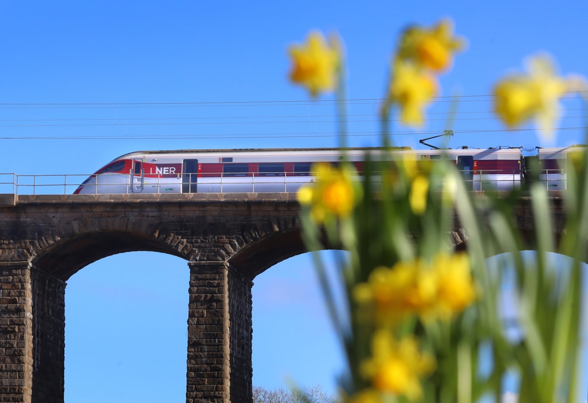 LNER Azuma in Spring-2