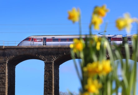 LNER Azuma in Spring-2
