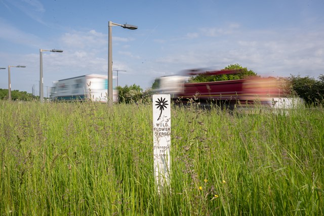 TfL Image - Wildflower Verge sign